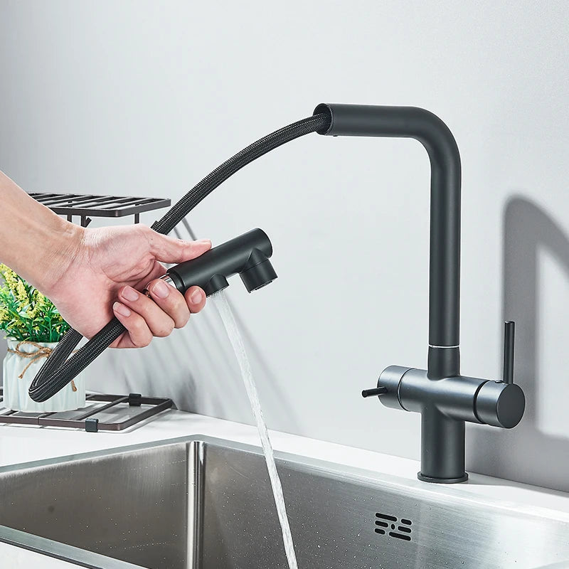 Grifo de Cocina Negro Mate 2 en 1 | Mezclador Agua Fría/Caliente y Purificador Extraíble - Casarae