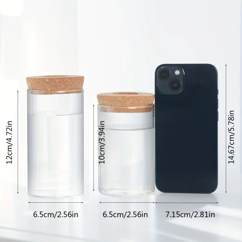 Jarrón de Cristal Hidropónico para Escritorio | Estación de Propagación de Plantas y Florero Decorativo